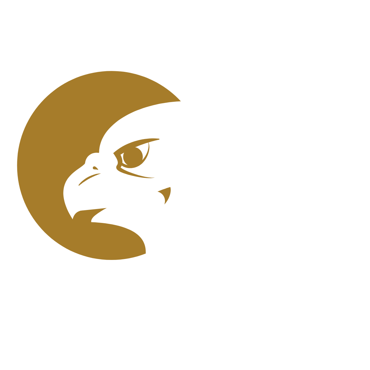 Logo DENTIMUM
